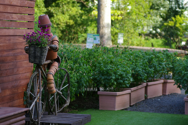 Robot per la casa e giardino: automazioni oltre la porta